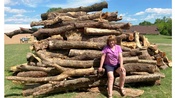 LARGE Pile Of Logs To Be Cut For Firewood!
